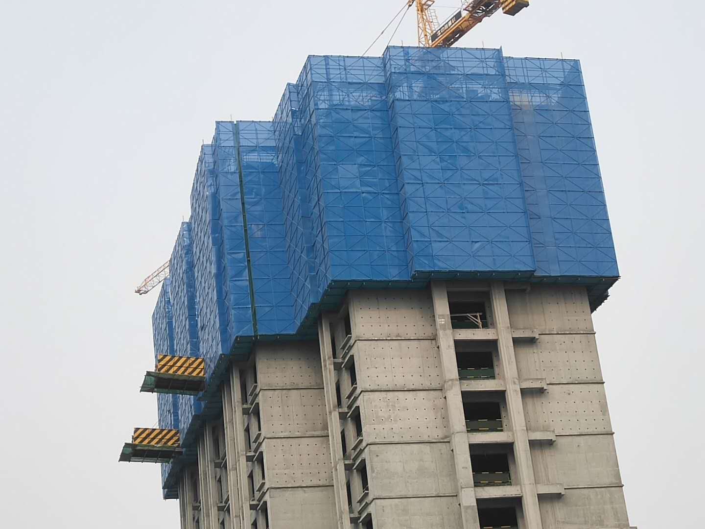 金屬爬架網(wǎng)